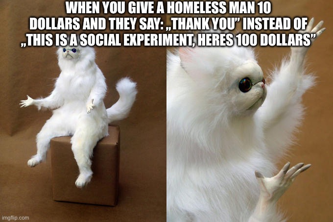 WHY DOESNT IT WORK??? | WHEN YOU GIVE A HOMELESS MAN 10 DOLLARS AND THEY SAY: „THANK YOU” INSTEAD OF „THIS IS A SOCIAL EXPERIMENT, HERES 100 DOLLARS” | image tagged in memes,persian cat room guardian,homeless,social experiment | made w/ Imgflip meme maker