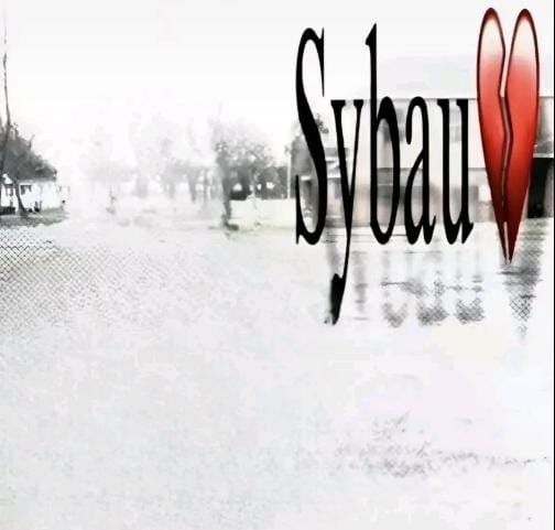 sybau Blank Meme Template