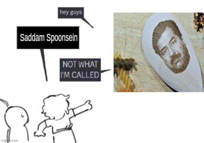 use of ts | image tagged in hey guys - not what i'm called | made w/ Imgflip meme maker