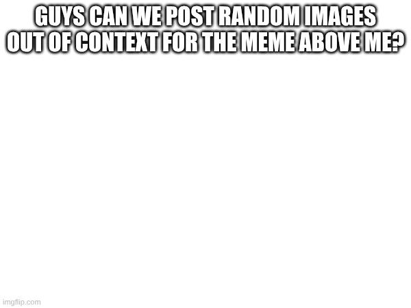 plz :((( | GUYS CAN WE POST RANDOM IMAGES OUT OF CONTEXT FOR THE MEME ABOVE ME? | image tagged in random | made w/ Imgflip meme maker