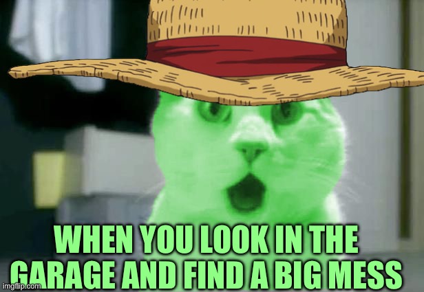 OMG RayCat | WHEN YOU LOOK IN THE GARAGE AND FIND A BIG MESS | image tagged in omg raycat | made w/ Imgflip meme maker
