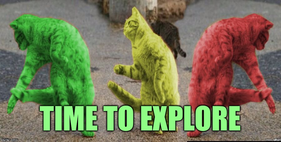 Three Dancing RayCats | TIME TO EXPLORE | image tagged in three dancing raycats | made w/ Imgflip meme maker