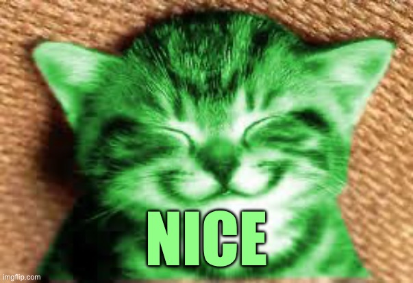 happy RayCat | NICE | image tagged in happy raycat | made w/ Imgflip meme maker
