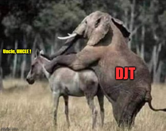 Uncle, UNCLE ! DJT | made w/ Imgflip meme maker