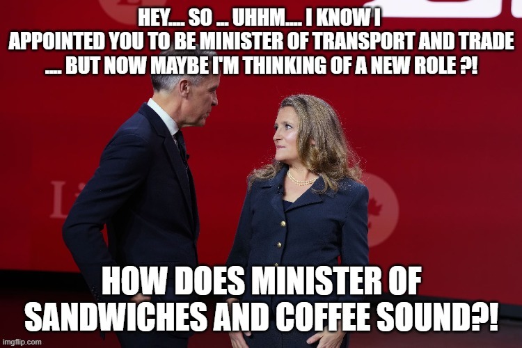 canadian politics | image tagged in political meme | made w/ Imgflip meme maker