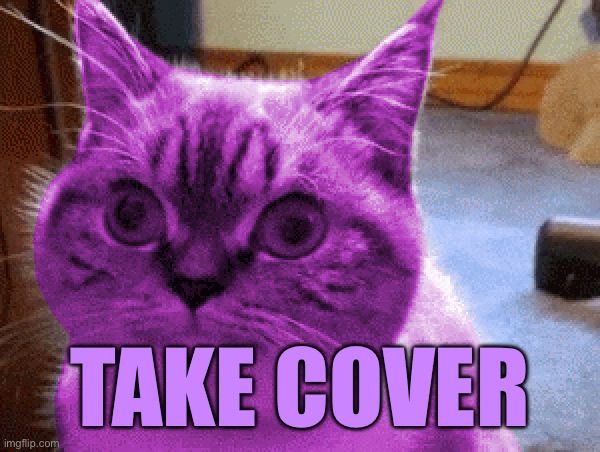 RayCat derp | TAKE COVER | image tagged in raycat derp | made w/ Imgflip meme maker