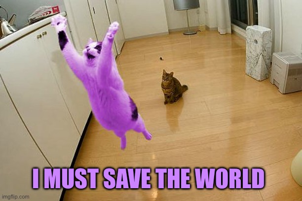 RayCat save the world | I MUST SAVE THE WORLD | image tagged in raycat save the world | made w/ Imgflip meme maker