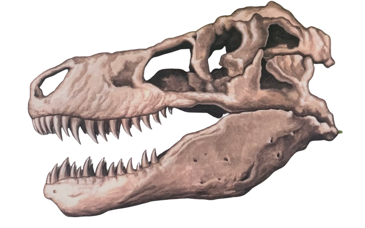 T rex skull Blank Meme Template