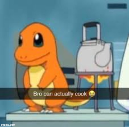 bro can actually cook | image tagged in bro can actually cook | made w/ Imgflip meme maker