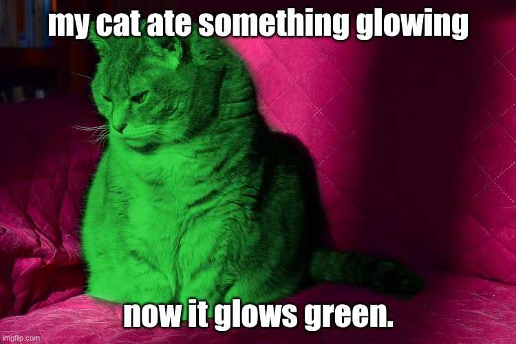 Cantankerous RayCat | my cat ate something glowing; now it glows green. | image tagged in cantankerous raycat | made w/ Imgflip meme maker