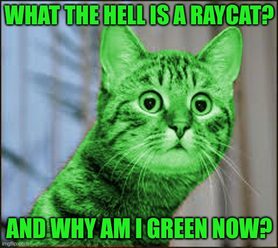 RayCat WTF | WHAT THE HELL IS A RAYCAT? AND WHY AM I GREEN NOW? | image tagged in raycat wtf | made w/ Imgflip meme maker