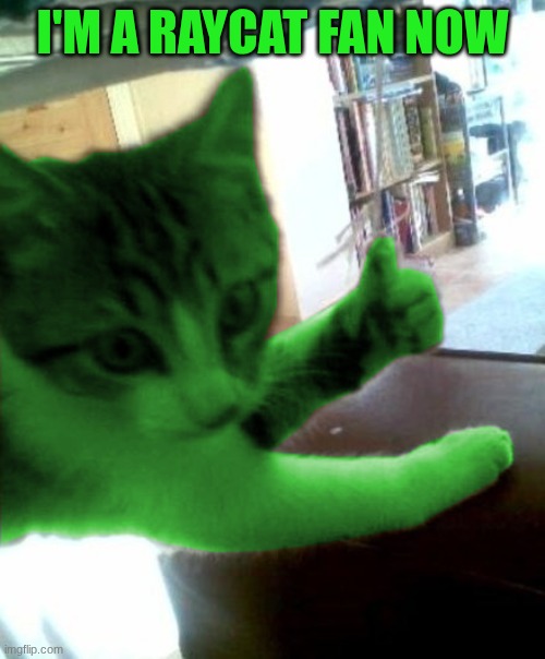 look at the skrimbly blimbo :D | I'M A RAYCAT FAN NOW | image tagged in thumbs up raycat | made w/ Imgflip meme maker