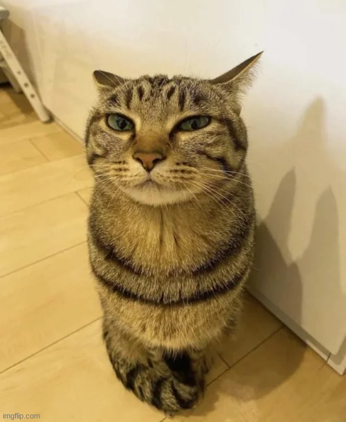 32364th creation | made w/ Imgflip meme maker