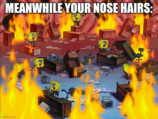 spongebob fire | MEANWHILE YOUR NOSE HAIRS: | image tagged in spongebob fire | made w/ Imgflip meme maker
