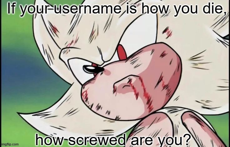 SSJ Sonic | If your username is how you die, how screwed are you? | image tagged in ssj sonic | made w/ Imgflip meme maker