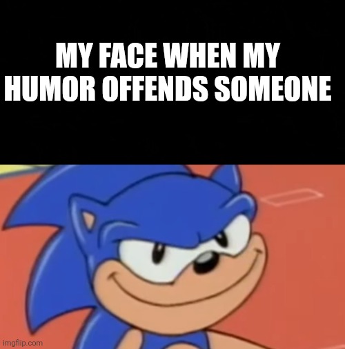Smug Sonic | MY FACE WHEN MY HUMOR OFFENDS SOMEONE | image tagged in smug sonic | made w/ Imgflip meme maker