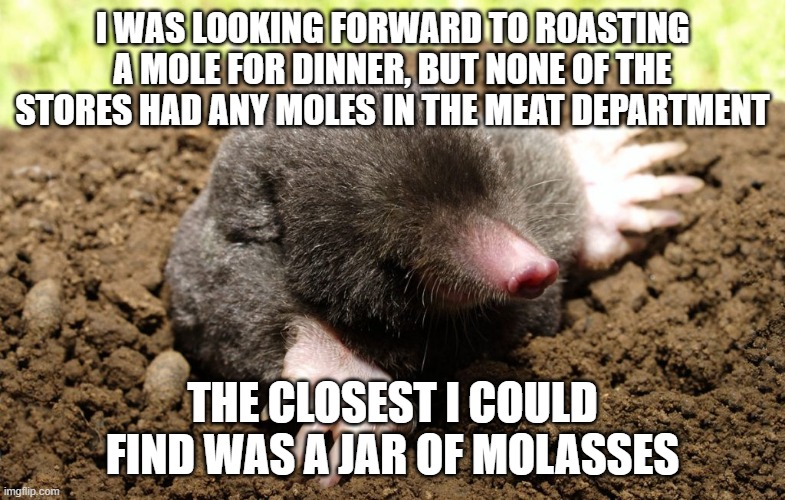 Moles for Dinner | I WAS LOOKING FORWARD TO ROASTING A MOLE FOR DINNER, BUT NONE OF THE STORES HAD ANY MOLES IN THE MEAT DEPARTMENT; THE CLOSEST I COULD FIND WAS A JAR OF MOLASSES | image tagged in funny memes | made w/ Imgflip meme maker