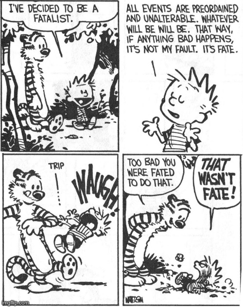 Hobbes throws a tiger wrench into the whole thing… | image tagged in calvin and hobbes,comics,fatalist | made w/ Imgflip meme maker