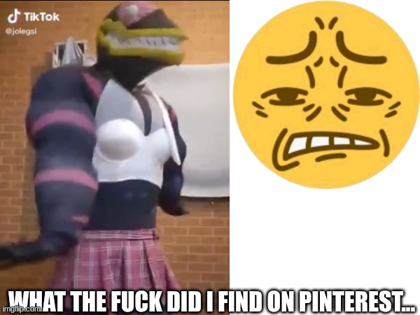 wtf.... | WHAT THE FUCK DID I FIND ON PINTEREST... | image tagged in nomu,mha | made w/ Imgflip meme maker