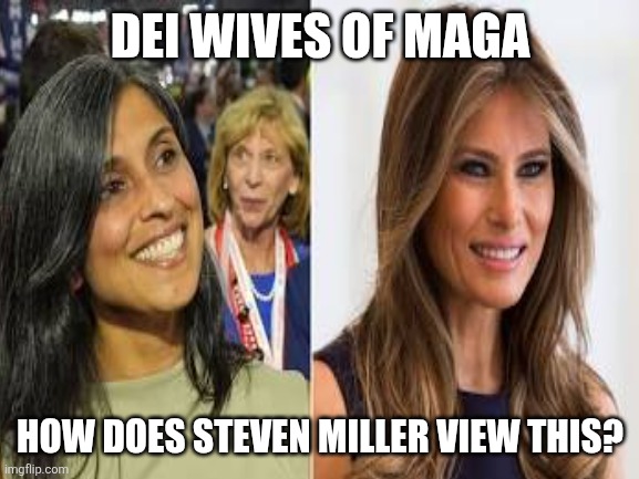 DEI WIVES OF MAGA HOW DOES STEVEN MILLER VIEW THIS? | made w/ Imgflip meme maker