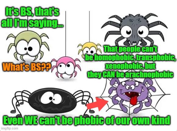 Getting stepped on and crushed just for who you are | It's BS, that's all I'm saying... That people can't be homophobic, transphobic, xenophobic, but they CAN be arachnophobic; What's BS?? Even WE can't be phobic of our own kind | image tagged in spiders,arachnophobia,political correctness,democrats,liberals | made w/ Imgflip meme maker