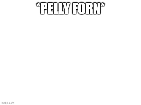 *PELLY FORN* | made w/ Imgflip meme maker