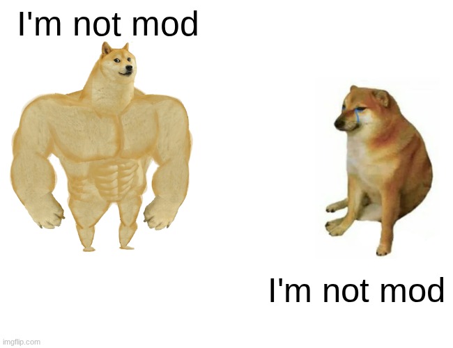 Seriously | I'm not mod; I'm not mod | image tagged in memes,buff doge vs cheems | made w/ Imgflip meme maker