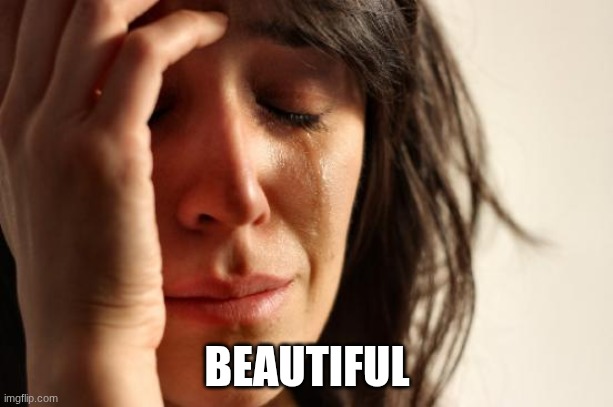 BEAUTIFUL | image tagged in memes,first world problems | made w/ Imgflip meme maker