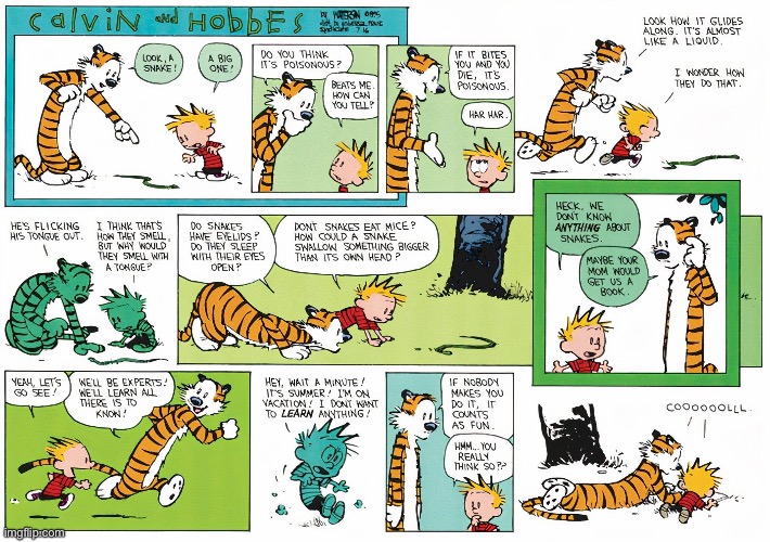 “The Calvin & Hobbes Summer Reading Program”… | image tagged in calvin and hobbes,comics,snakes,summer reading | made w/ Imgflip meme maker