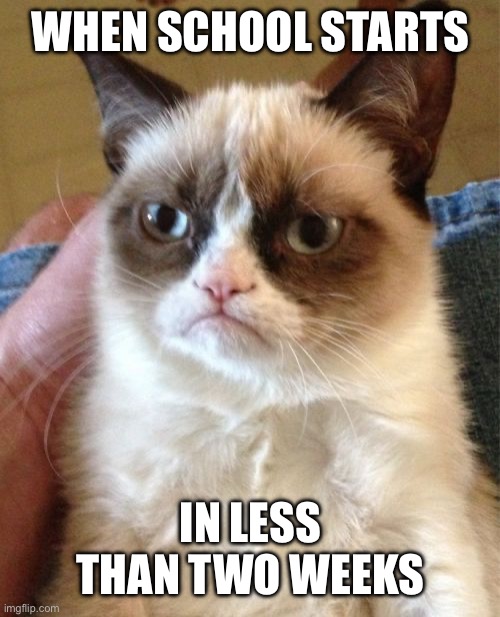 Grumpy Cat | WHEN SCHOOL STARTS; IN LESS THAN TWO WEEKS | image tagged in memes,grumpy cat | made w/ Imgflip meme maker