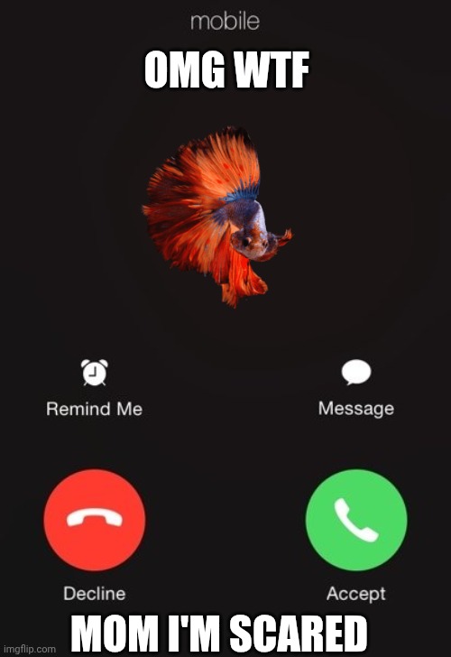 Incoming call | OMG WTF; MOM I'M SCARED | image tagged in incoming call | made w/ Imgflip meme maker