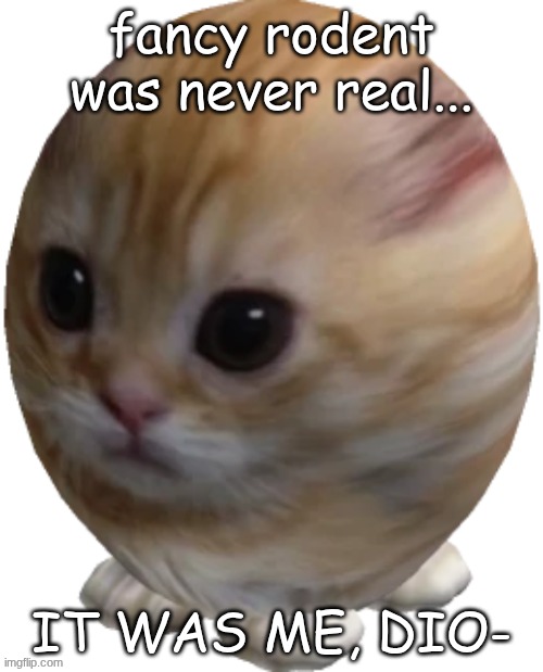 egg gatito | fancy rodent was never real... IT WAS ME, DIO- | image tagged in egg gatito | made w/ Imgflip meme maker