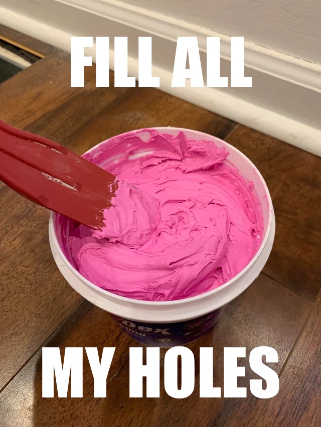 Fill all my holes Blank Meme Template