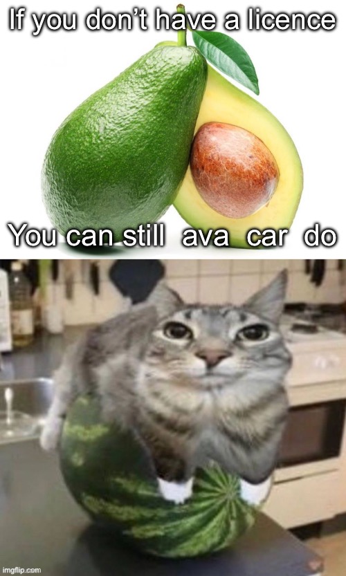 If you don’t have a licence; You can still  ava  car  do | image tagged in avacado,funny car | made w/ Imgflip meme maker