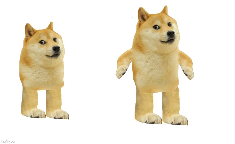 libomination | image tagged in libomination | made w/ Imgflip meme maker