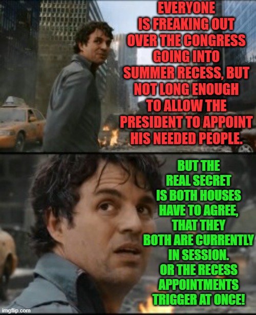 That's my secret | EVERYONE IS FREAKING OUT OVER THE CONGRESS GOING INTO SUMMER RECESS, BUT NOT LONG ENOUGH TO ALLOW THE PRESIDENT TO APPOINT HIS NEEDED PEOPLE. BUT THE REAL SECRET IS BOTH HOUSES HAVE TO AGREE, THAT THEY BOTH ARE CURRENTLY IN SESSION. OR THE RECESS APPOINTMENTS TRIGGER AT ONCE! | image tagged in that's my secret | made w/ Imgflip meme maker