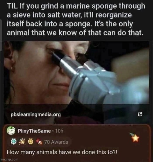 Science | image tagged in science,marine,spongebob | made w/ Imgflip meme maker