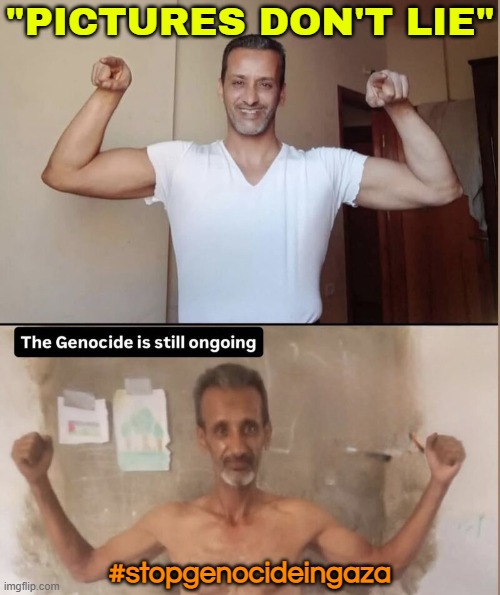 The pictures do not lie | "PICTURES DON'T LIE"; #stopgenocideingaza | image tagged in palestinian genocide,palestine,genocide,abrahamic religions,middle east,starvation | made w/ Imgflip meme maker