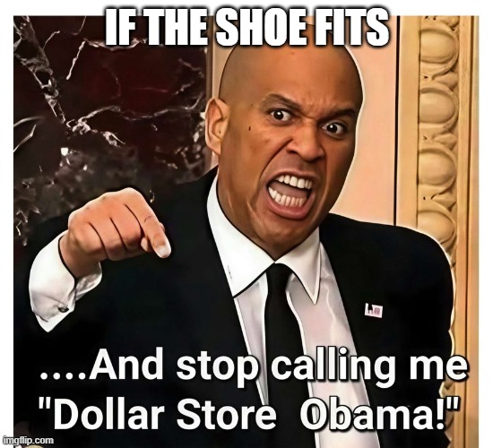 If The Shoe Fits. | IF THE SHOE FITS | image tagged in if the shoe fits | made w/ Imgflip meme maker