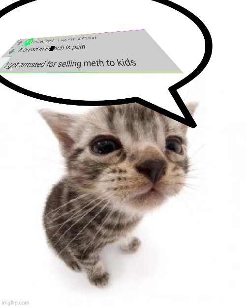 why would El Gatito say that, is he stupid? | image tagged in el gatito | made w/ Imgflip meme maker