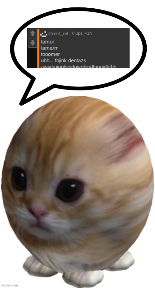 why would egg gatito say this? is he stupid? | image tagged in egg gatito | made w/ Imgflip meme maker