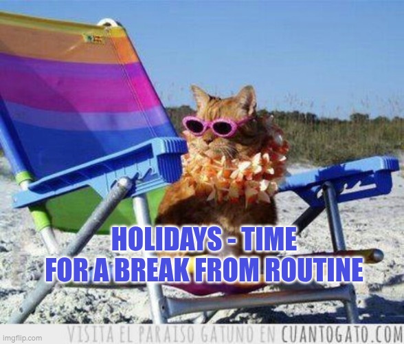 Holidays - time for a break in routine | HOLIDAYS - TIME FOR A BREAK FROM ROUTINE | image tagged in holiday,routine,change | made w/ Imgflip meme maker