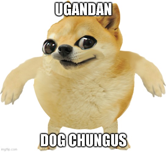 bigo | UGANDAN; DOG CHUNGUS | image tagged in nomasgogogo,big chungus | made w/ Imgflip meme maker