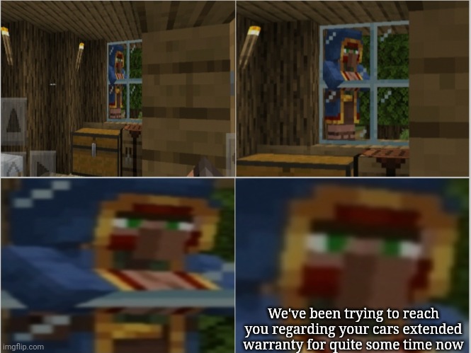 Frustrated Wandering Trader | We've been trying to reach you regarding your cars extended warranty for quite some time now | image tagged in frustrated wandering trader | made w/ Imgflip meme maker