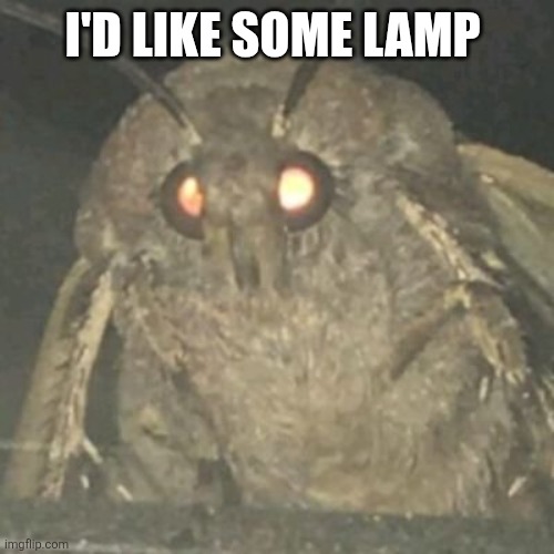 Lamp Moth | I'D LIKE SOME LAMP | image tagged in lamp moth | made w/ Imgflip meme maker