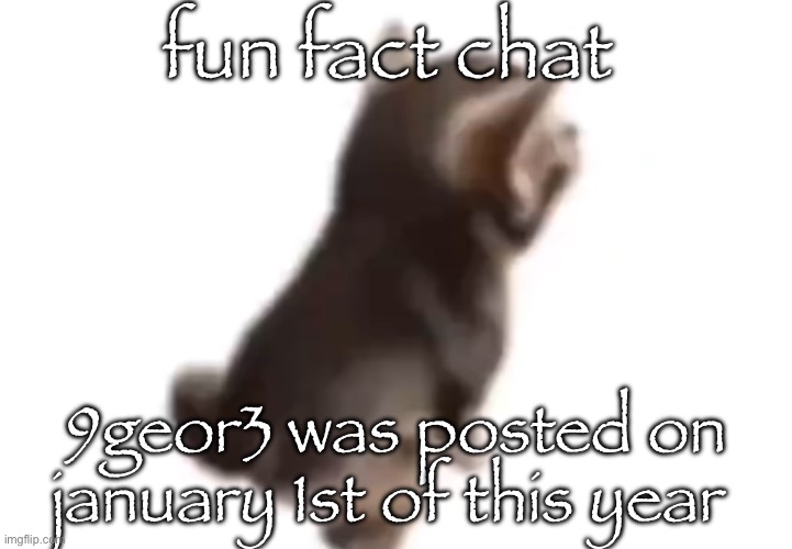 what a wonderful way we started the new year | fun fact chat; 9geor3 was posted on january 1st of this year | image tagged in side el gatito | made w/ Imgflip meme maker