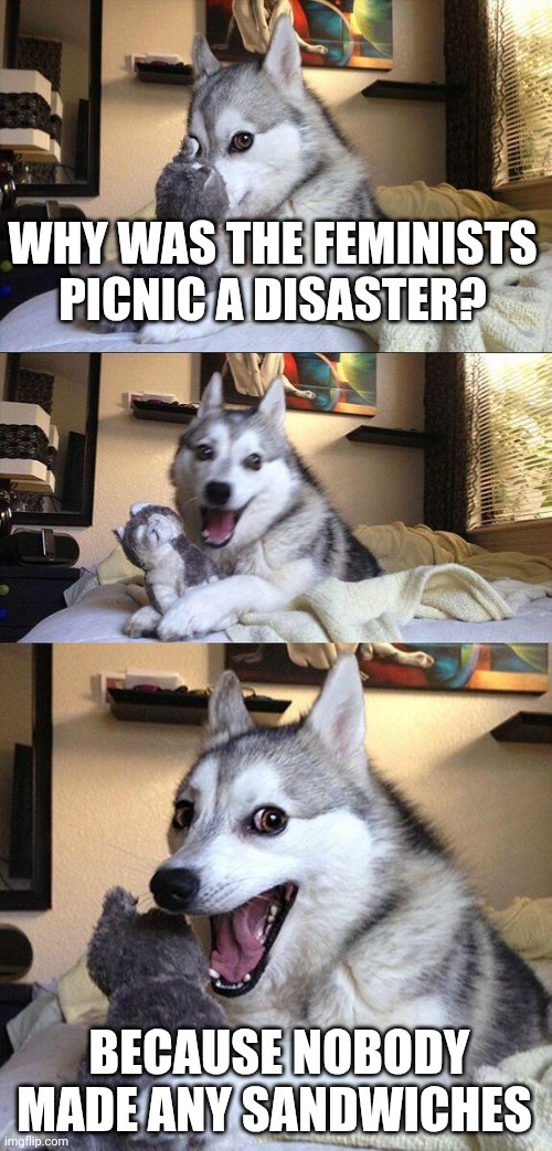 Bad Pun Dog | WHY WAS THE FEMINISTS PICNIC A DISASTER? BECAUSE NOBODY MADE ANY SANDWICHES | image tagged in memes,bad pun dog | made w/ Imgflip meme maker