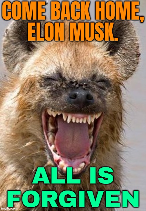 Come Back Home, Elon Musk. All Is Forgiven | COME BACK HOME,
ELON MUSK. ALL IS
FORGIVEN | image tagged in lol funny,south africa,deportation,donald trump,elon musk,immigrants | made w/ Imgflip meme maker