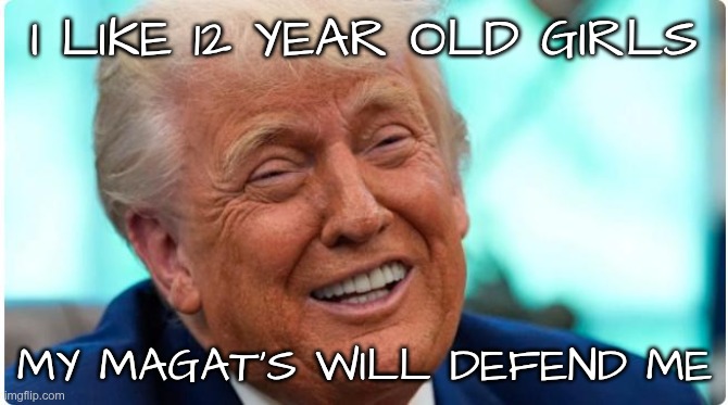 No Defense | I LIKE 12 YEAR OLD GIRLS; MY MAGAT'S WILL DEFEND ME | image tagged in trump,gop,maga,nazis,fascists,girls | made w/ Imgflip meme maker