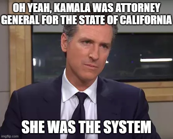 Governor California | OH YEAH, KAMALA WAS ATTORNEY GENERAL FOR THE STATE OF CALIFORNIA SHE WAS THE SYSTEM | image tagged in governor california | made w/ Imgflip meme maker